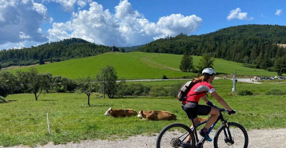 Penzion Zbojnicky Halas Tisovec Bagian luar foto